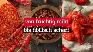 Premium Chili Adventskalender mit 24 Chilisorten und bis zu 1.5 Mio. Scoville