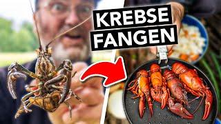 Invasive Krebse fangen, töten & köstlich zubereiten  Achtung, nur diese Art!