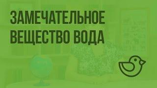 Замечательное вещество вода. Видеоурок по окружающему миру 3  класс