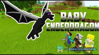 Minecraft: Spawn A Baby Ender Dragon and A Fire Breathing Dragon! (JAVA)