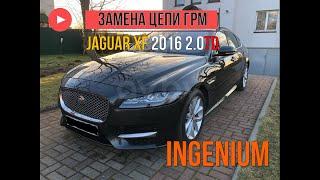 Jaguar XF 2016 2.0 TD Ingenium замена комплекта цепи ГРМ