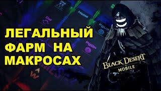 BDM: Как настроить макросы на бесконечный фарм в Black Desert Mobile