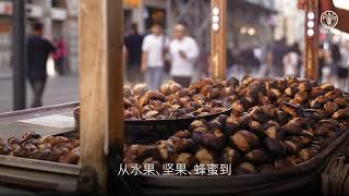 2025年国际森林日森林：食物的宝贵来源 - 养护森林，滋养民众