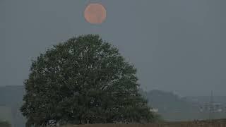 Partielle Mondfinsternis  04:40 Uhr 18. September 2024