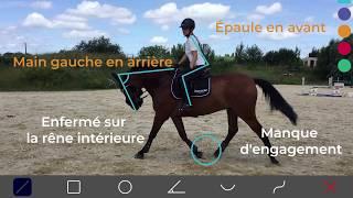 Horsicar a testé pour vous : Nowkey