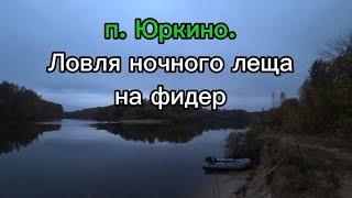 Клев осеннего леща ночью. Река Ветлуга. Поселок Юркино Марий-Эл.