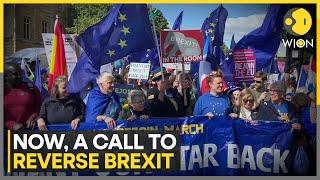 Reverse Brexit Protest: Britons Want UK To Rejoin European Union | WION