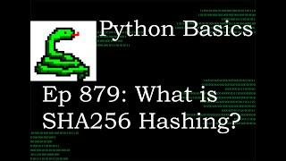 Python Basics Tutorial What is SHA256 Hashing? || Blockchain