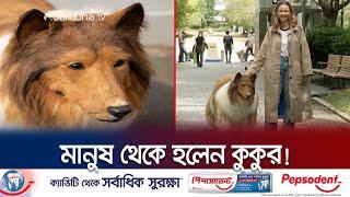 ছিলেন মানুষ, টাকা খরচ করে নিজেকে বানালেন কুকুর!| Man Transforms Dog | Japan | Jamuna TV