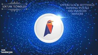 HiveOS ile RVN (Ravencoin) Coin Nasıl Mining Yapılır ?