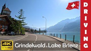 Driving in Switzerland 17: From Grindelwald to Lake Brienz and Innertkirchen | 4K 60fps