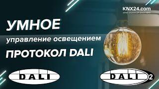 Что такое протокол DALI? Управление освещением DALI