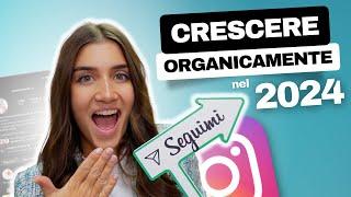 Come Crescere Organicamente Su Instagram Nel 2024