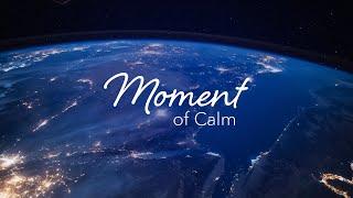 Moment of Calm | Everything is Happening Right Now