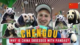 Why China is Obsessed with Pandas: Inside the Chengdu Panda Research Base 