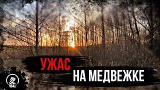 Уборка территории Кулебакского пруда Медвежка. // КУЛЕБАКИ.