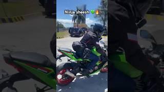 gorgeous kawasaki zx6r 