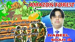 Amazon Forest The reality of world biggest Rainforest? Discover Its Wonders! /NABEEL SHAH OFFICIAL