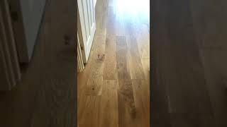 Xylo R80 wood flooring installation #xyloflooring #woodflooring