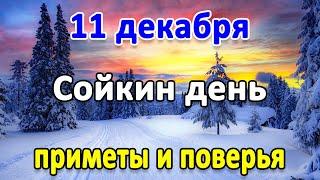 11 декабря – Сойкин день. Что нельзя делать? Народные приметы