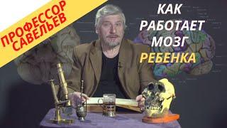 Профессор Савельев - как работает мозг ребенка