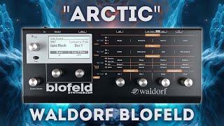 Waldorf Blofeld - "Arctic"  Soundset 100 programs and Sample Content