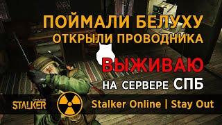 34. Поймали Белуху и открыли проводника. Сервер СПБ. Сталкер Онлайн | Stalker Online | Stay Out