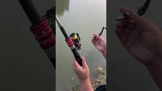 Best fishing rod fir best fishermen #youtubeshorts #shorts #viralvideo