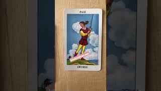 Never give up! Daily tarot message!