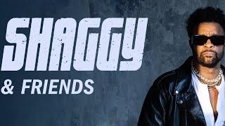 Shaggy & Friends: 30th Anniversary of Mr. Boombastic (Wien) | Live Nation GSA