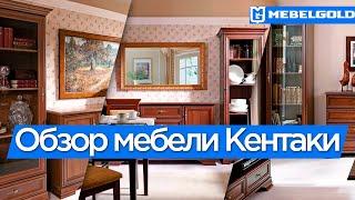 Обзор белорусской мебели Кентаки каштан фабрики BRW