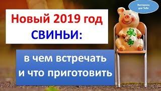 Новый 2019 год Свиньи: в чем встречать и что приготовить