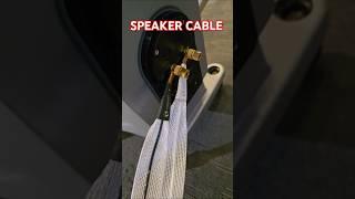 SPEAKER CABLES - Top Best High End Hifi NORDOST ODIN 2 Audio Speaker Cable