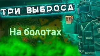 Сколько артефактов на болотах? | STALCRAFT