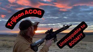 Trijicon acog- the perfect intermediate optic?