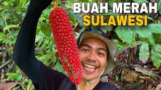 Buah-buahan dari Hutan sulawesi - Kin Survive Trip To hutan Sulawesi #1