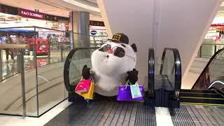 【Bamboo Panda 】Bamboo went shopping this weekend | Chinese short animation | 熊猫班卜