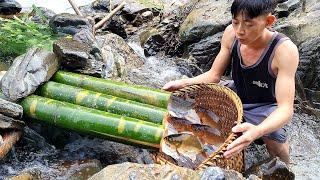 Use many bamboo tubes to form a fish trap, catch fish / Hoàng Hướng Building New Life