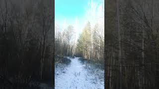 #набережные #челны