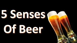 Your 5 Senses and Beer: Beer by the Numbers