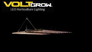 Volt Grow FL1 LED grow light PAR test and review