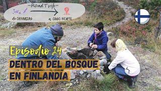 E24 - Dentro del bosque en Finlandia