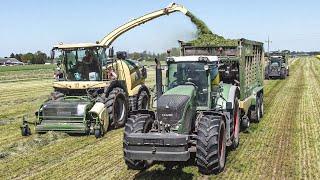 Zbiór Traw Sieczkarnią 2024! UR Blejk vs Gorzowska! Autem po pryzmie [Fendt, Krone, JohnDeere]