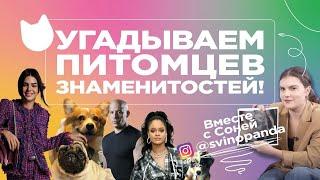 Проверьте интуицию! Угадайте, какие питомцы у знаменитостей? Petshop Show : Соня Svinopanda