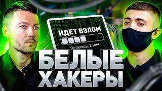 ️ Белый хакер о взломе на заказ: кто, как и зачем ломает ваши сайты. Пентесты и хакерские атаки