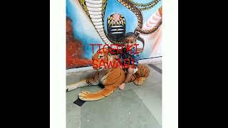 Wow!  ki sawari  । Darsh Play with Tiger।