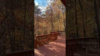 So pretty  #nature #cabinvibes #travel #cabinlife #cabin #foresttree #fall #forestplants