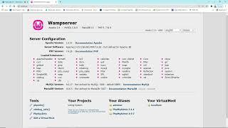 Creating your project in WAMP Server