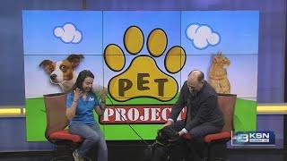 Pet Project: Kansas Humane Society introduces River Monster