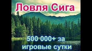 Русская рыбалка 3.9. Едем ловить Сига на Волхов (15 разряд). Зарабатываем 500 000 + за игровые сутки